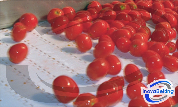 Alimentos